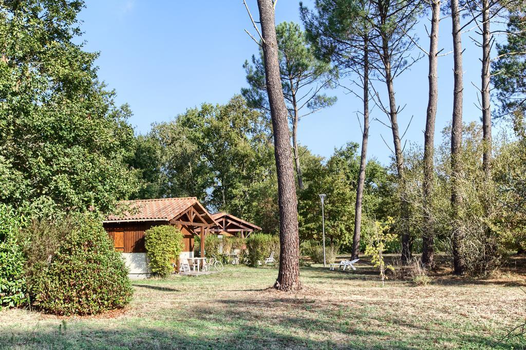 Les Chalets Du Gelat, Nature Et Calme Noaillan Exterior foto